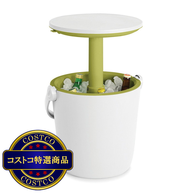 (コストコ) ケター ゴーバー 16Lクーラーテーブル