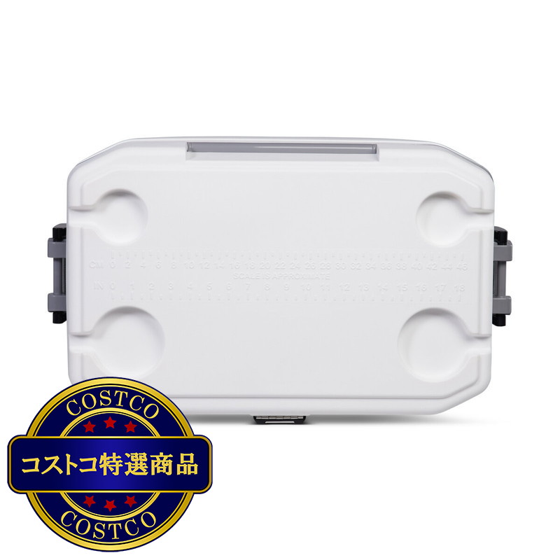 (コストコ) イグルー ウルトラ 54qt (51L)/ 12QT (11L) クーラーボックス コンボセット - 画像 (4)