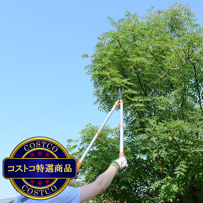 (コストコ) 高儀 GREEN ART 伸縮刈込鋏MS-30 - 画像 (3)