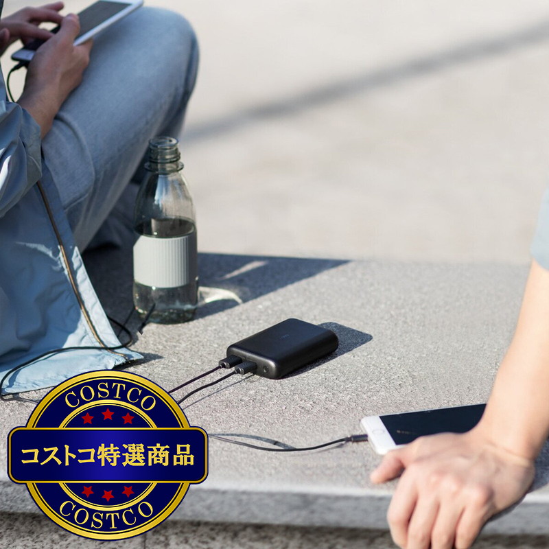 (コストコ) Anker モバイルバッテリー PowerCore 15000 Redux x 2個 - 画像 (4)