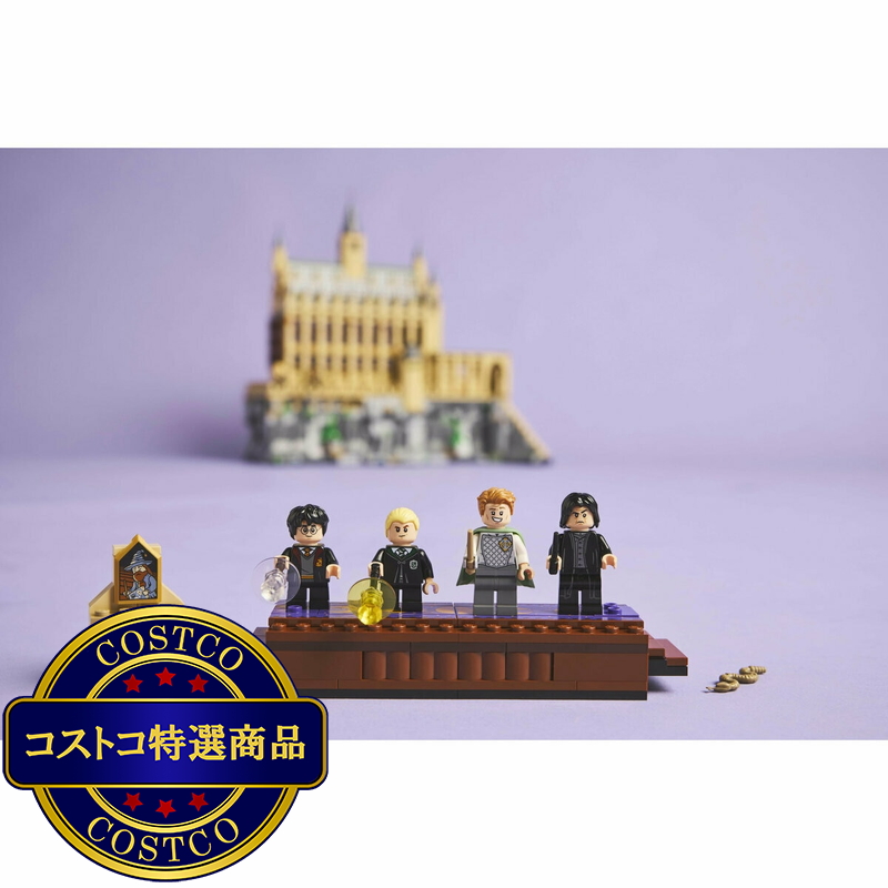 (コストコ) レゴ ホグワーツ城:決闘クラブ - 画像 (4)