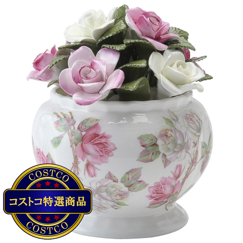 (コストコ) エインズレイ 陶花 ボウル