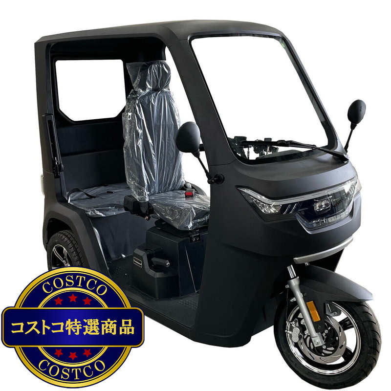 (コストコ) ビークルファン EV トゥクトゥク シングルバッテリー - 画像 (2)