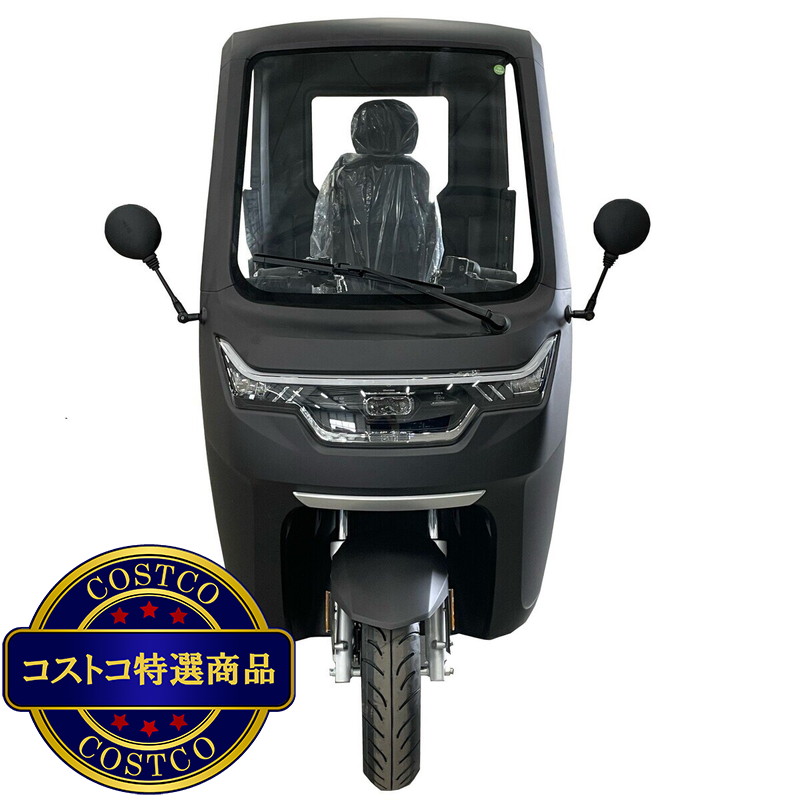(コストコ) ビークルファン EV トゥクトゥク シングルバッテリー