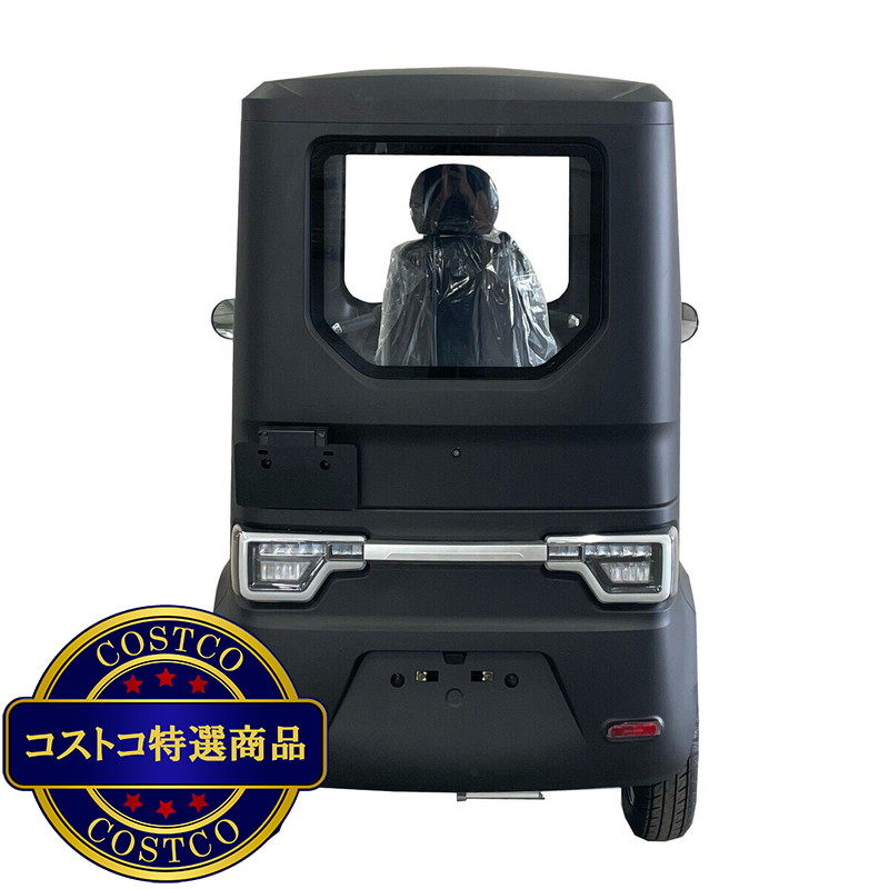 (コストコ) ビークルファン EV トゥクトゥク ダブルバッテリー - 画像 (3)