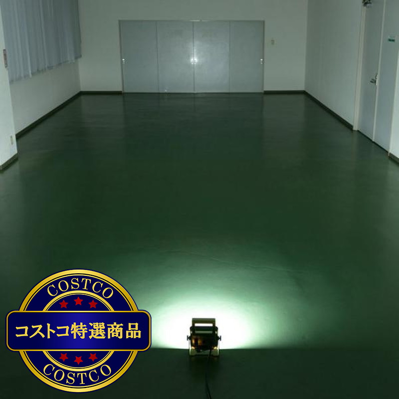 (コストコ) アイリスオーヤマ LEDベースライト 2000lm IP65 LWTL-2000BA - 画像 (4)