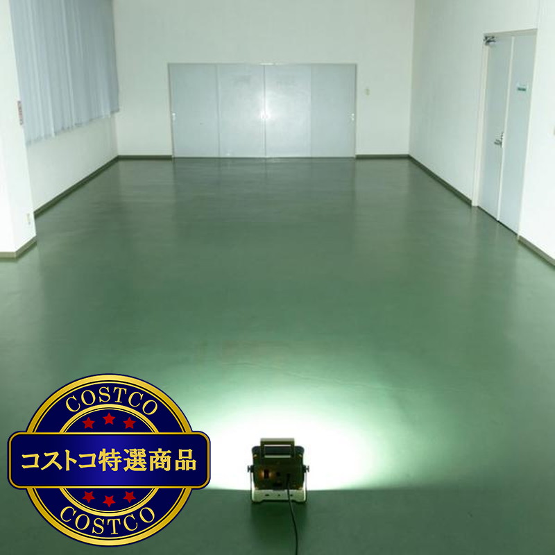 (コストコ) アイリスオーヤマ LEDベースライト 5000lm IP65 LWTL-5000BA - 画像 (4)