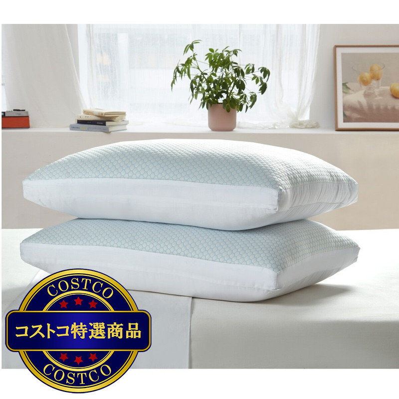 (コストコ) 冷感リバーシブル枕 2パック