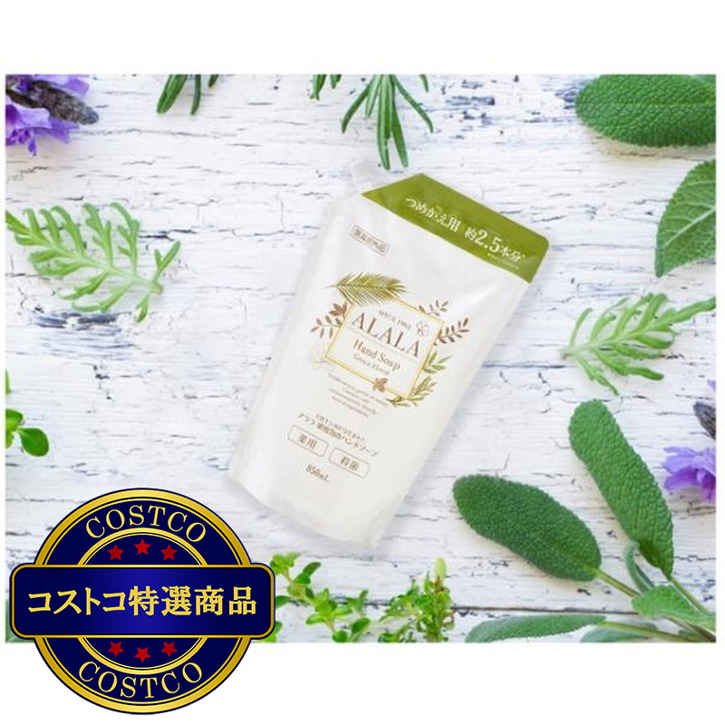 (コストコ) イワタニ アララ 天然パームヤシ油から生まれた薬用泡のハンドソープ 850ml - 画像 (2)
