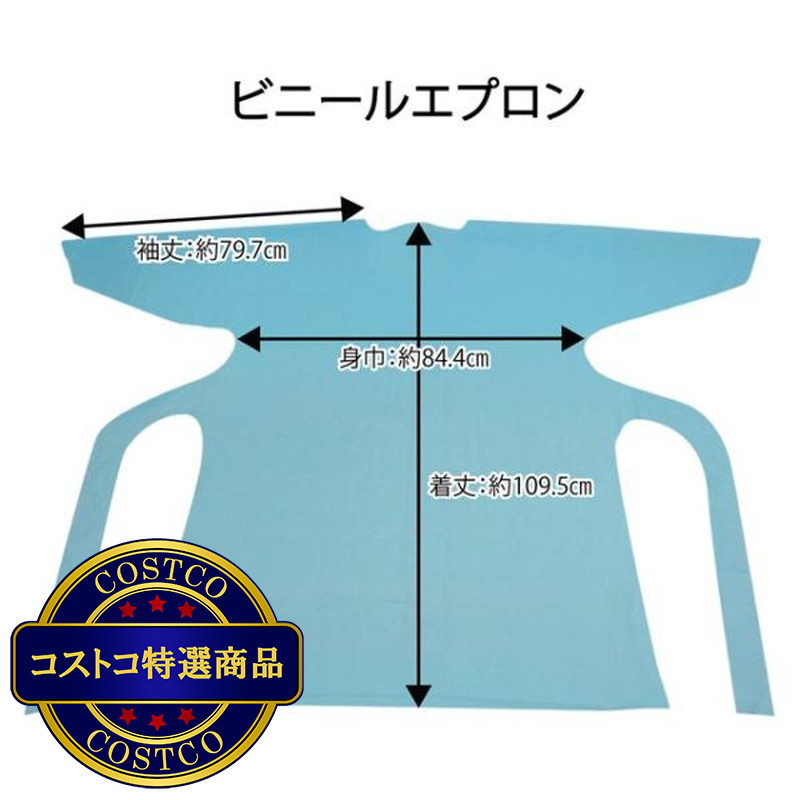 (コストコ) 感染防護セット 10セット - 画像 (4)