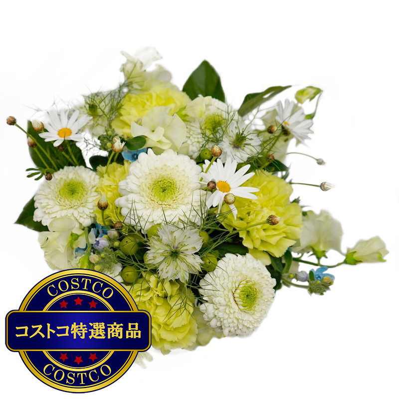 (コストコ) スプリングブーケ ホワイトグリーン
