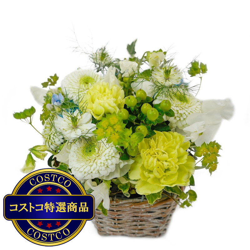 (コストコ) スプリングアレンジメント ホワイトグリーン