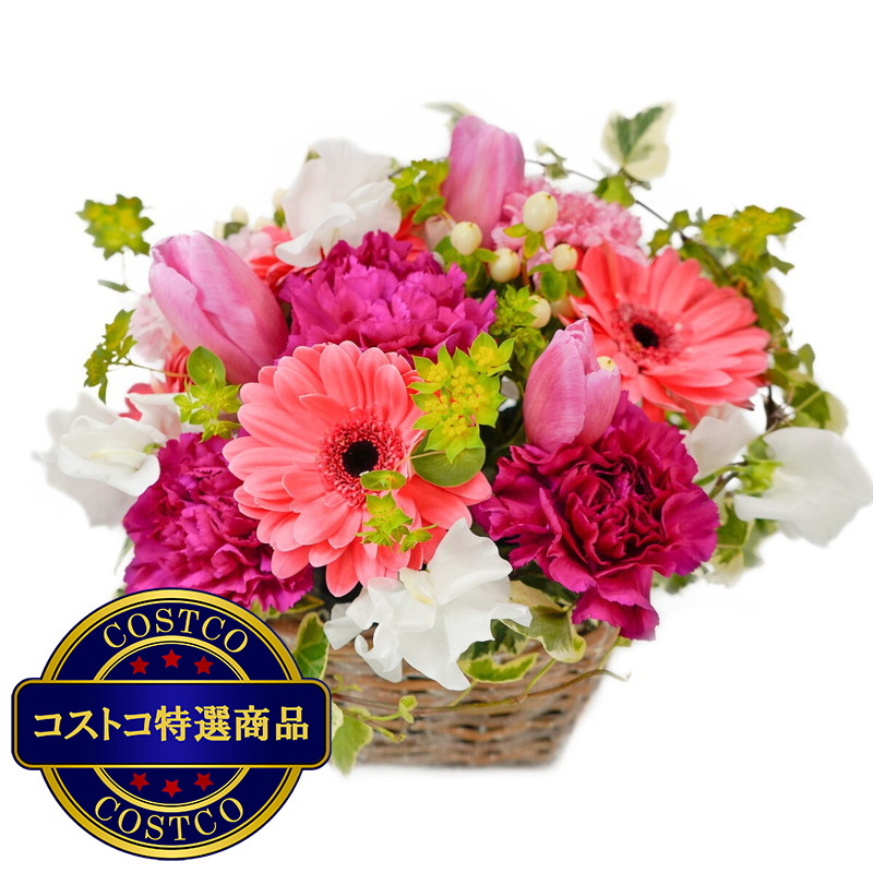 (コストコ) スプリングアレンジメント ピンク