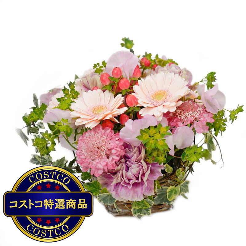 (コストコ) スプリングアレンジメント ライトピンク