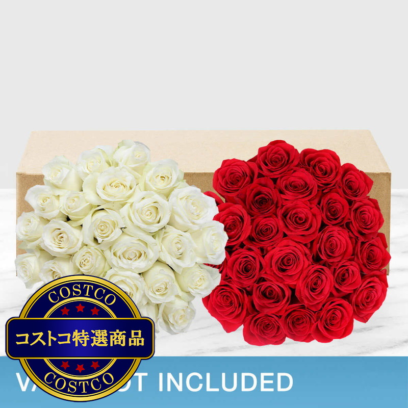 (コストコ) バラ 50本 赤白 - 画像 (2)