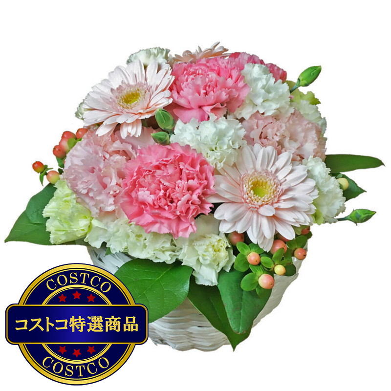 (コストコ) ラウンドアレンジメント ピンク