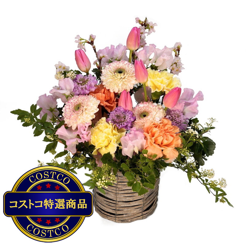 (コストコ) 桜の春色アレンジメント