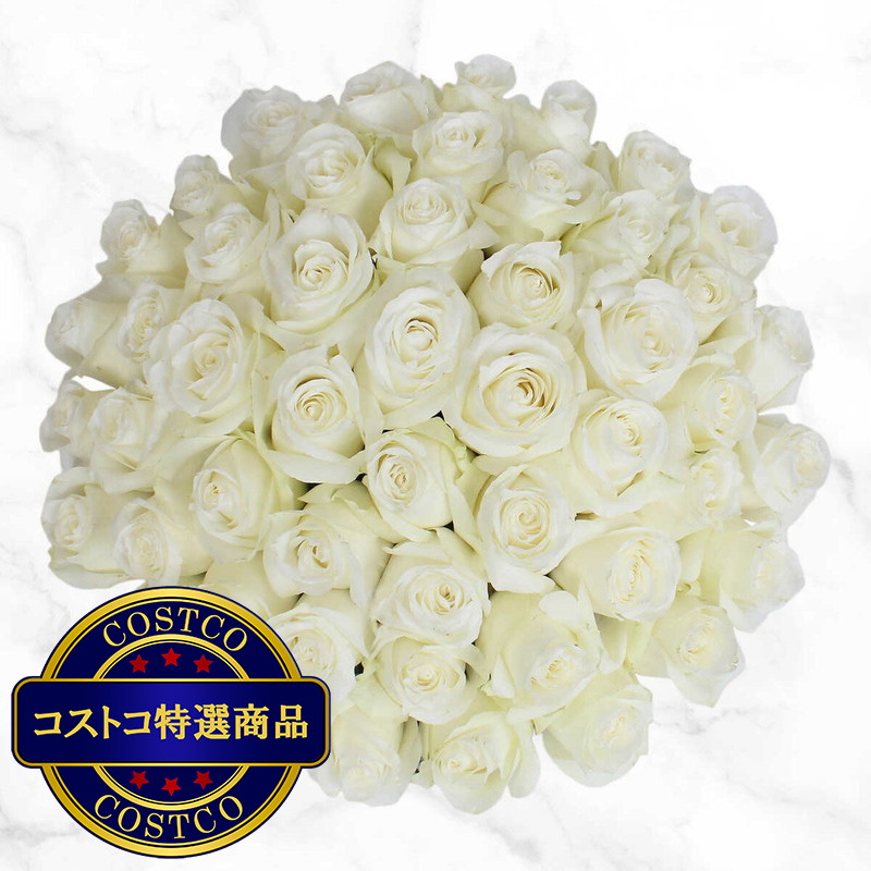(コストコ) バラ 50本 白