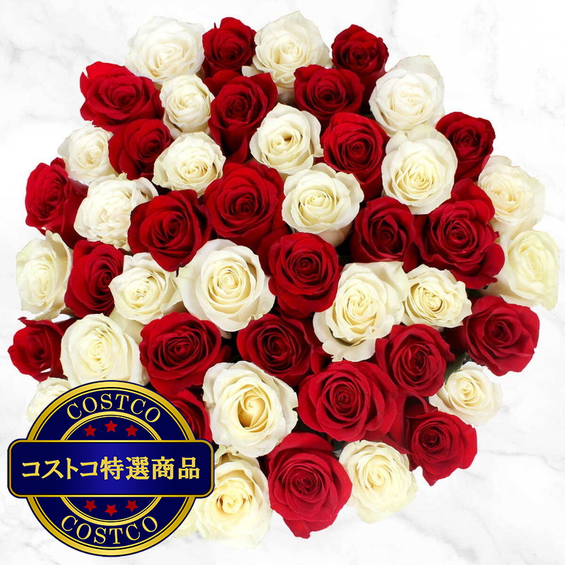 (コストコ) バラ 50本 赤白