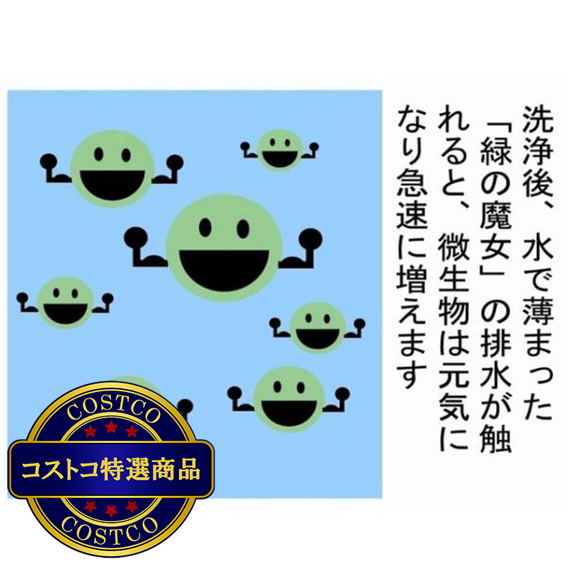 (コストコ) 緑の魔女 ランドリーセット - 画像 (4)