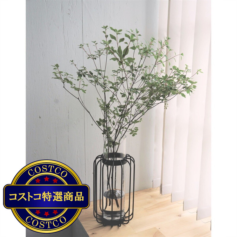 (コストコ) ドウダンツツジ 6本束 - 画像 (4)