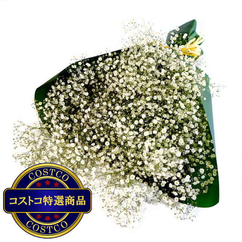 (コストコ) かすみ草ブーケ ホワイト - 画像 (2)