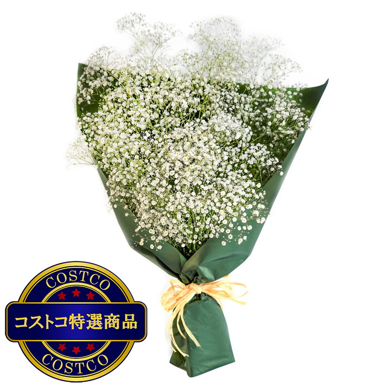 (コストコ) かすみ草ブーケ ホワイト