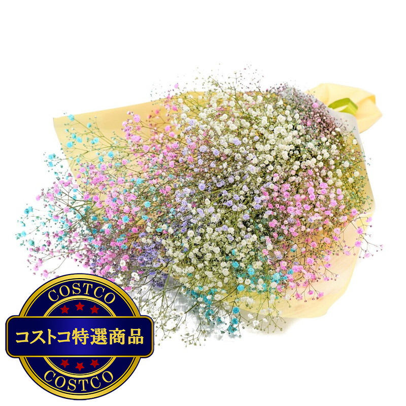 (コストコ) かすみ草ブーケ コットンキャンディー - 画像 (2)