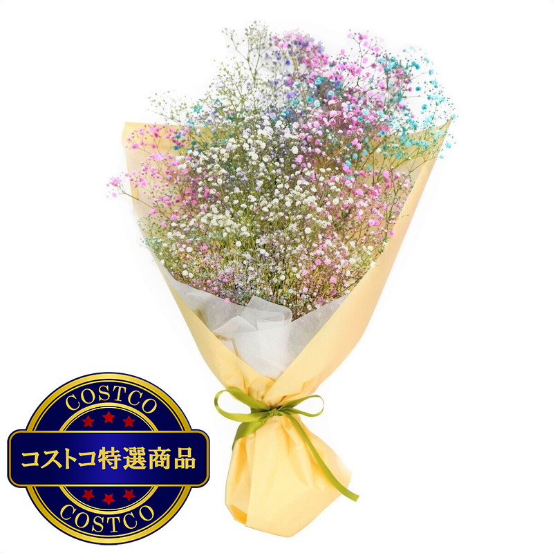 (コストコ) かすみ草ブーケ コットンキャンディー