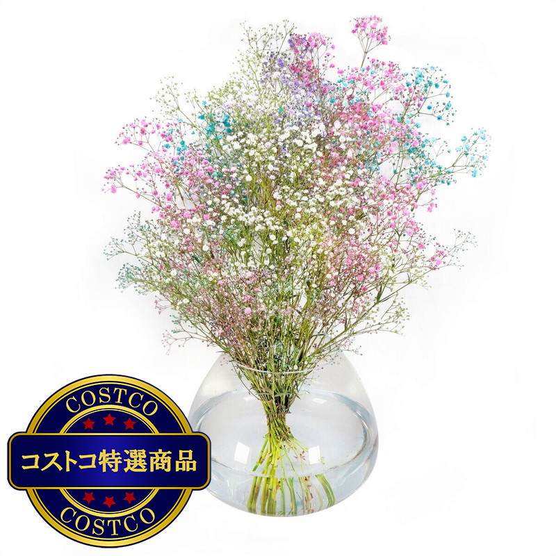 (コストコ) かすみ草ブーケ コットンキャンディー - 画像 (3)