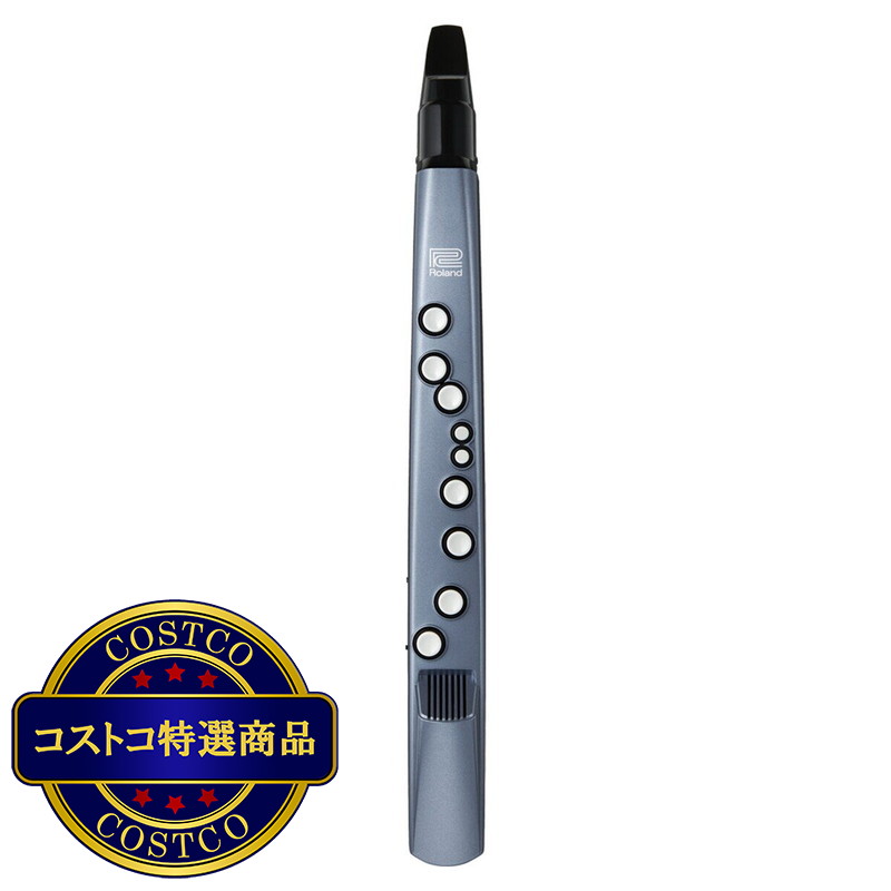 (コストコ) ローランド 電子管楽器 エアロフォン・ミニ　AE-01