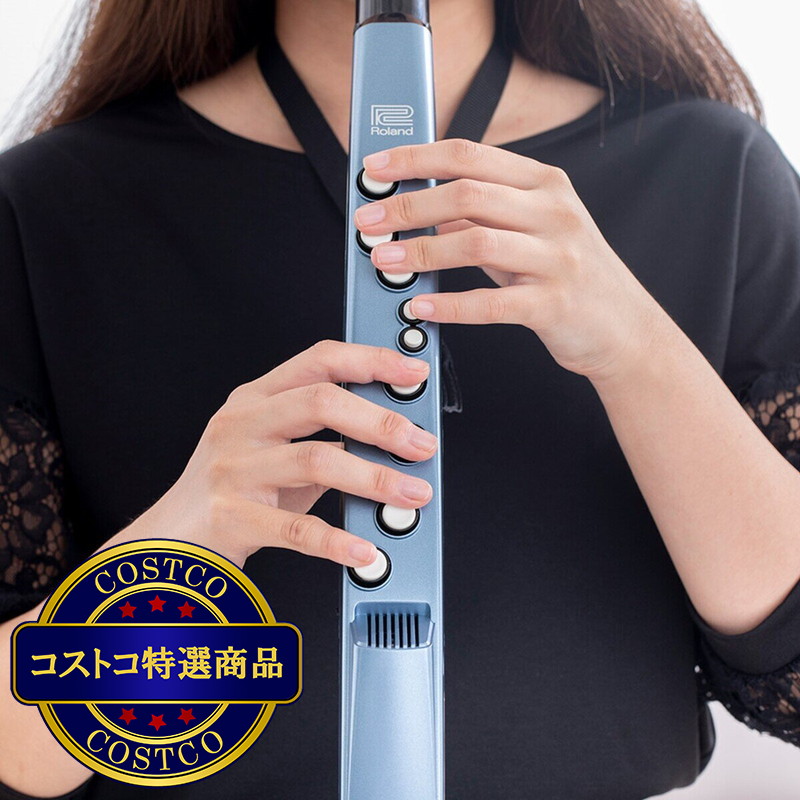 (コストコ) ローランド 電子管楽器 エアロフォン・ミニ AE-01 - 画像 (3)