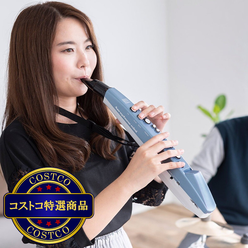 (コストコ) ローランド 電子管楽器 エアロフォン・ミニ AE-01 - 画像 (4)