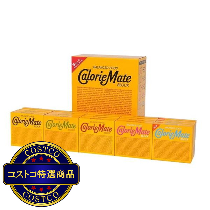 (コストコ) カロリーメイト ブロック 4本入 アソートパック 20箱入