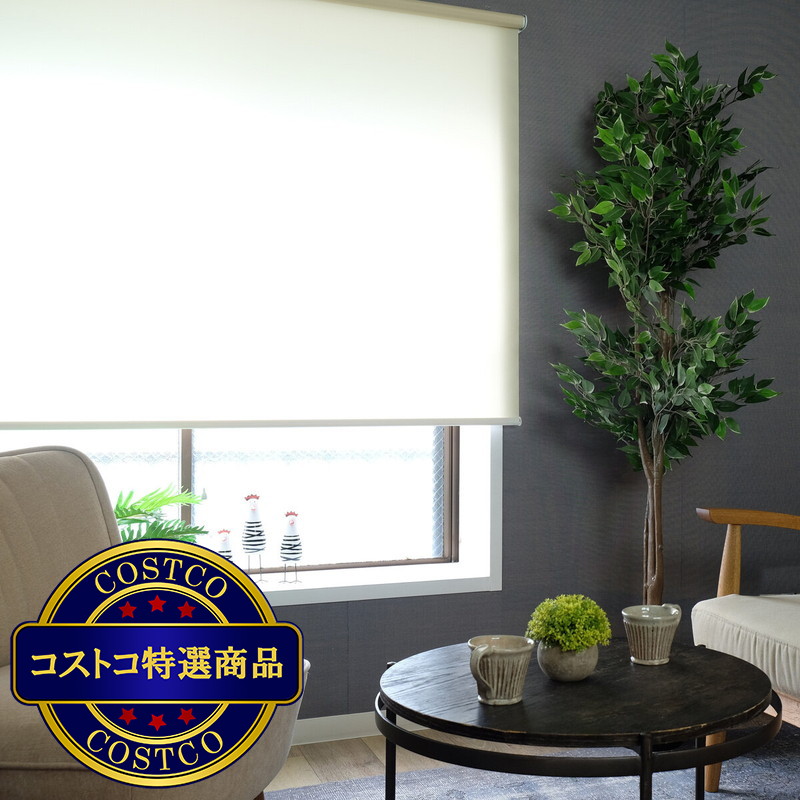 (コストコ) トーソー ロールスクリーン ラビータ 60 cm x 180 cm - 画像 (2)