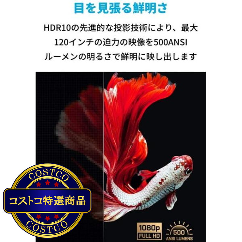 (コストコ) Anker ポータブルプロジェクター Nebula Vega Portable D2121N11 - 画像 (4)