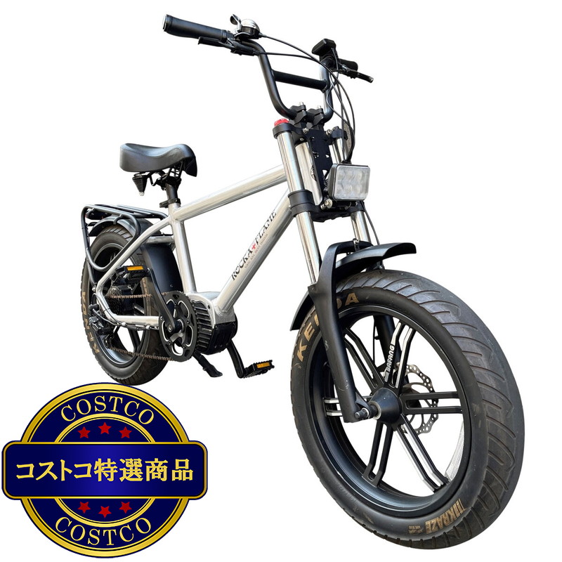 (コストコ) ROCKA FLAME 20インチ 電動アシスト ファットバイク HAYATE