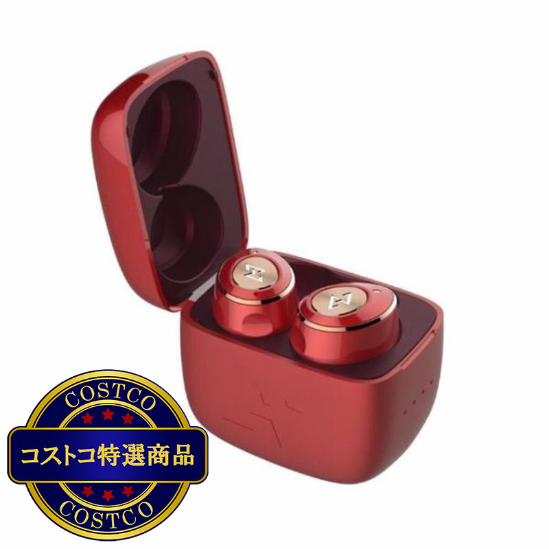 (コストコ) Aviot 完全ワイヤレスイヤホン TE-D01m - 画像 (2)