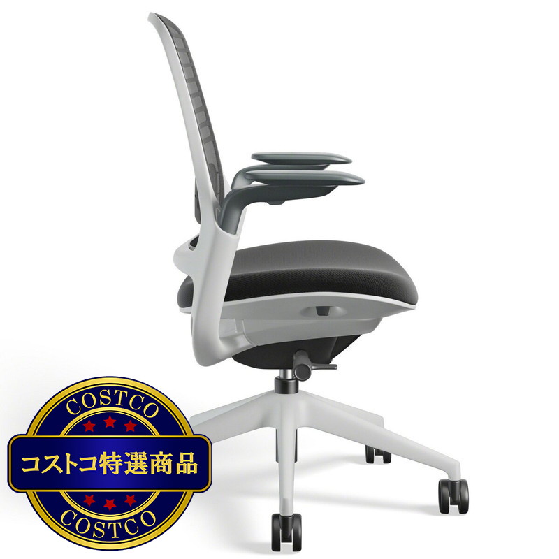 (コストコ) スチールケース シリーズワンチェア アジャスタブルアーム付き - 画像 (3)