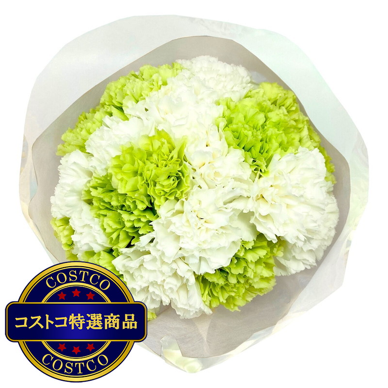 (コストコ) ホワイトミックス カーネーション 24本