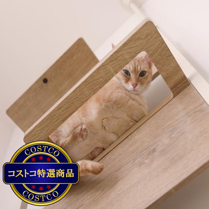 (コストコ) キャットステップ 2色 - 画像 (3)