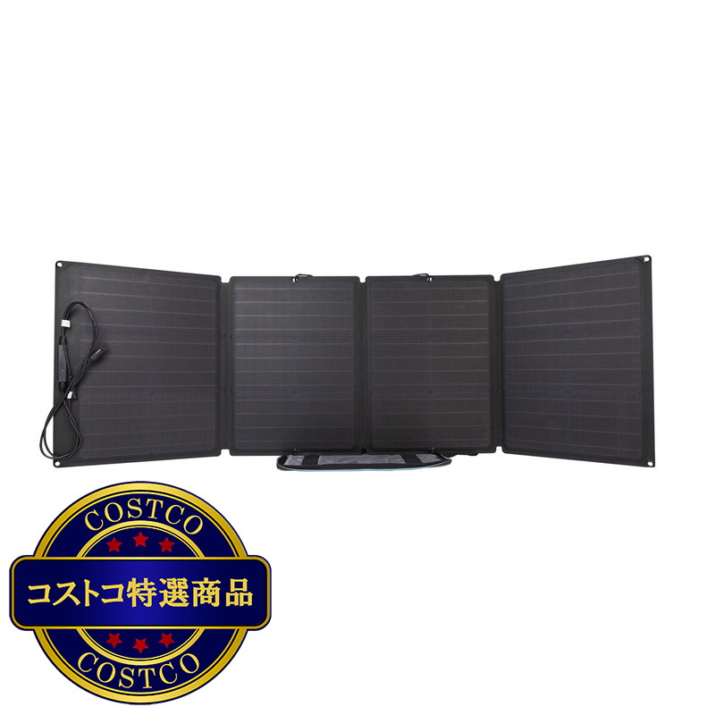 (コストコ) EcoFlow(エコフロー) 110W ソーラーパネル充電器 - 画像 (2)