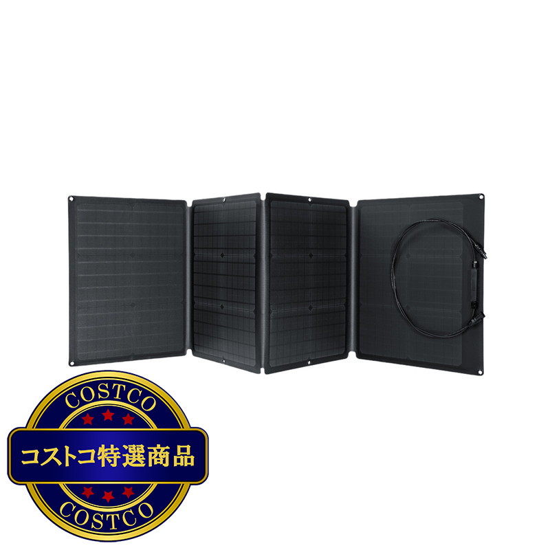 (コストコ) EcoFlow(エコフロー) 110W ソーラーパネル充電器 - 画像 (3)
