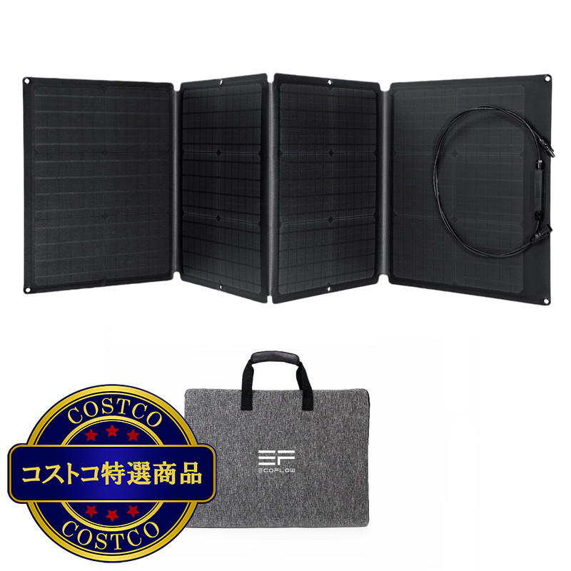 (コストコ) EcoFlow(エコフロー) 110W ソーラーパネル充電器 - 画像 (4)