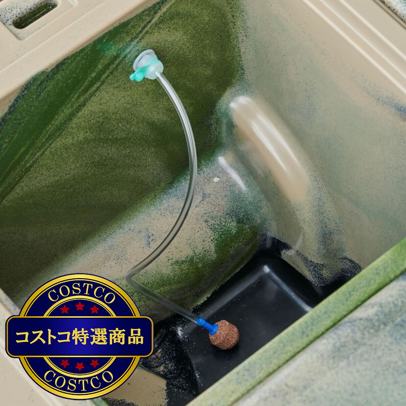 (コストコ) WYLD GEAR (ワイルドギア) ハードタイプ 50QT クーラーボックス HC-50 47リットル ロトモールド製法 - 画像 (4)