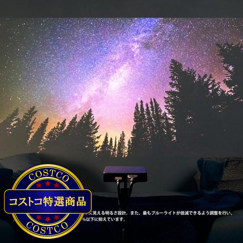 (コストコ) ネクストレージ 120インチ 小型プロジェクター NMP-NX1 - 画像 (4)