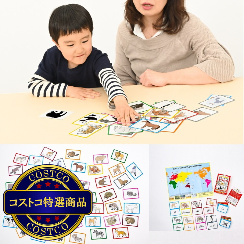 (コストコ) モンテッソーリ式ドリル&カードセット A - 画像 (2)