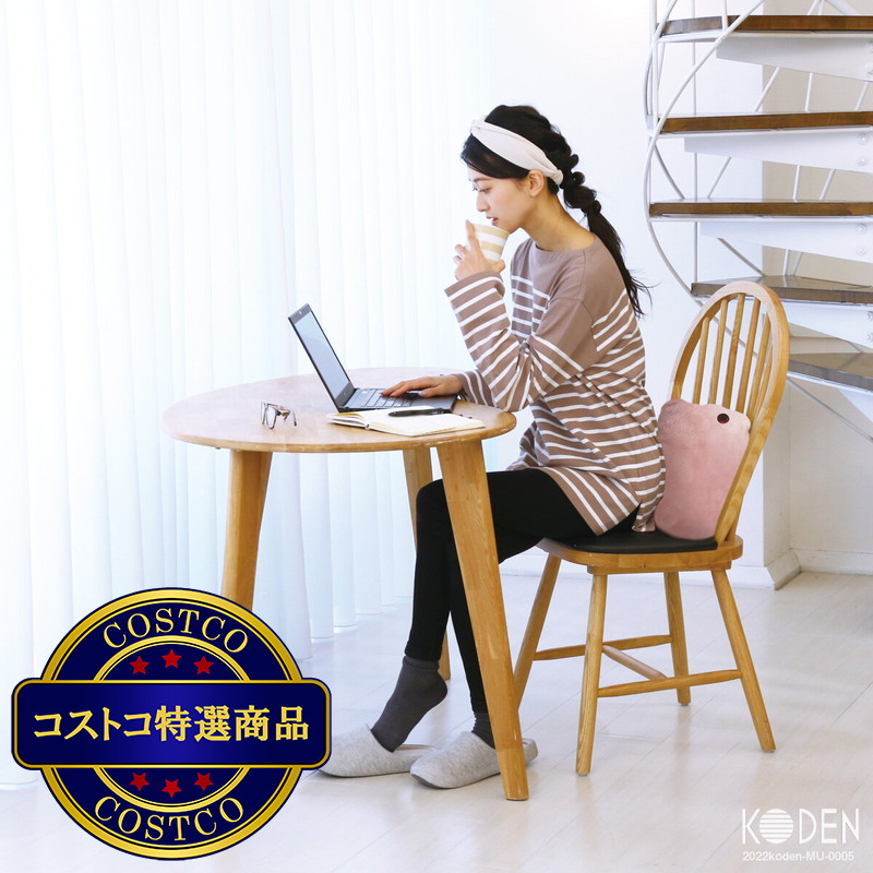 (コストコ) 広電 USBほっとクッション CUC291G-PT - 画像 (4)