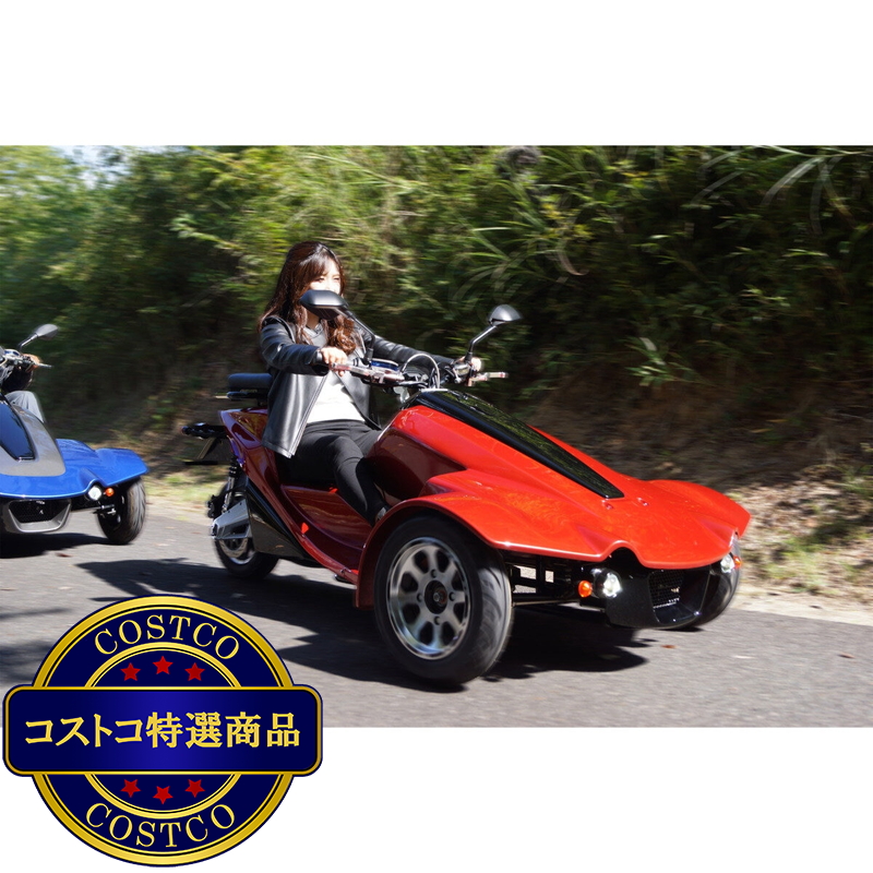 SOREX EVリバーストライク RT-01 1色ボディーカラー - 画像 (4)