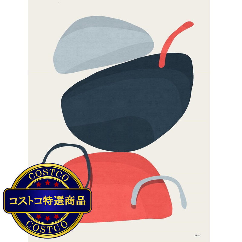 (コストコ) キャンバスアート ~ Abstract XIV ~ - 画像 (2)